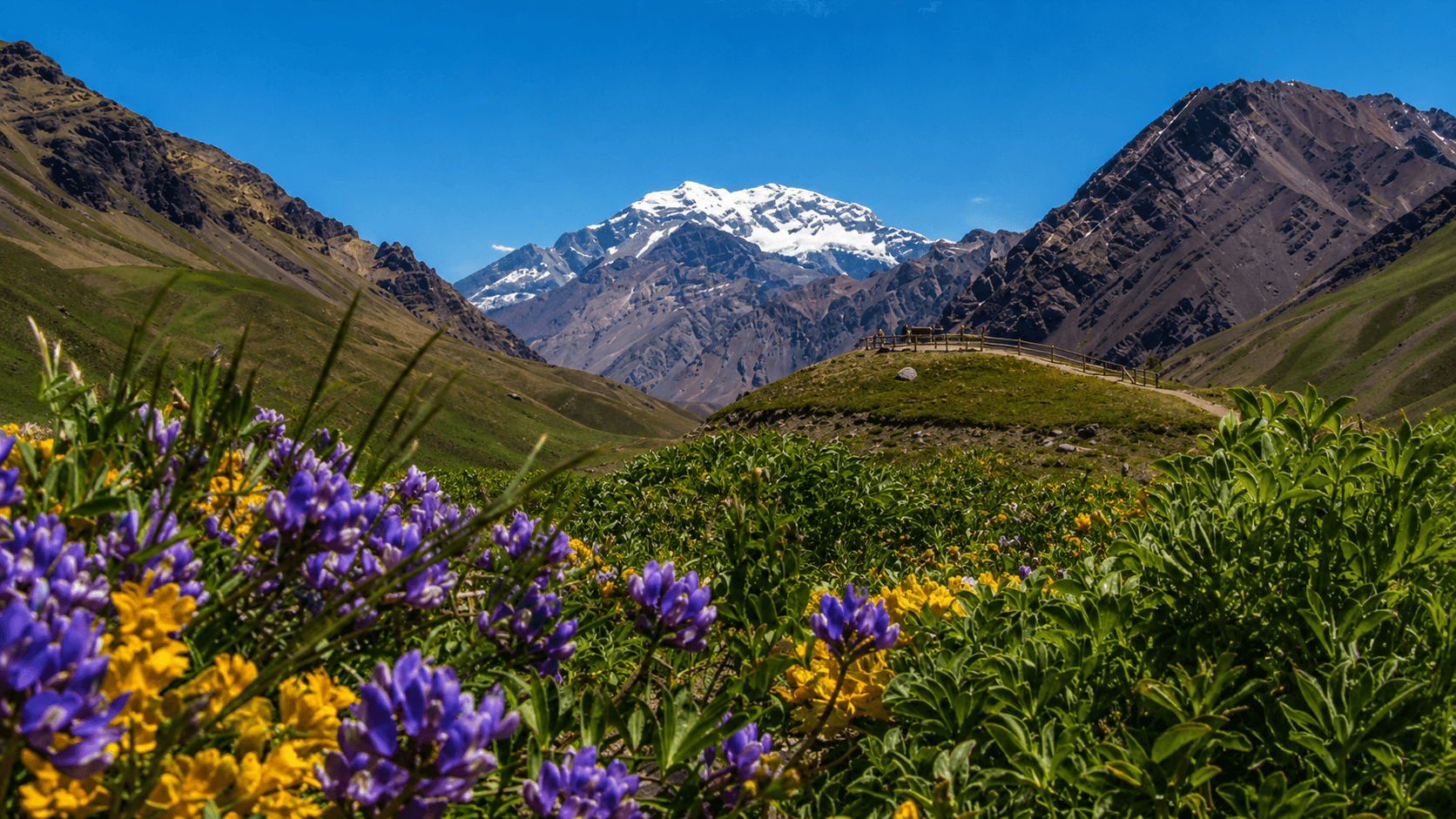 Parque General San Martín en Mendoza con jóvenes disfrutando la primavera bajo los árboles