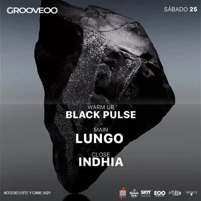 Lungo