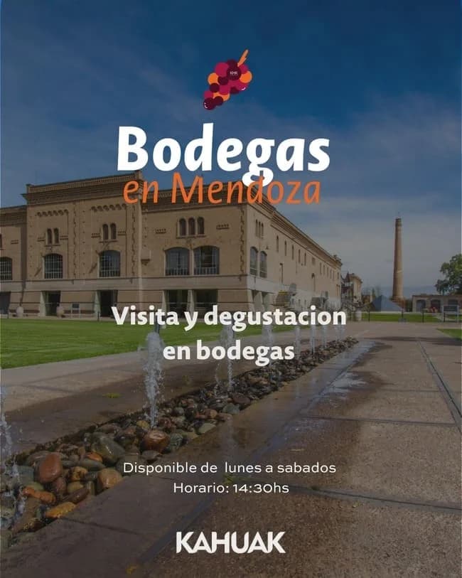 Tour de Vinos - Visita y Degustacion