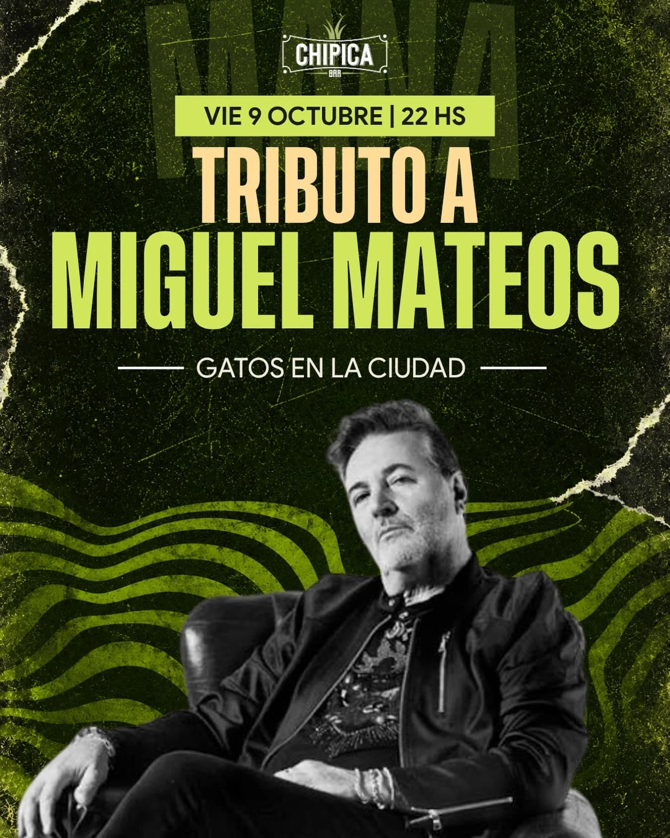 Tributo a Miguel Mateos