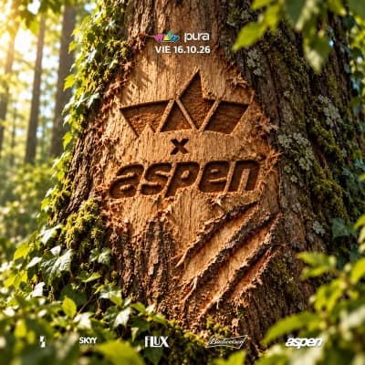 Wabi x Aspen